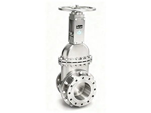 Large Diameter Gate Valve