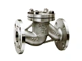 Lift Check Valve